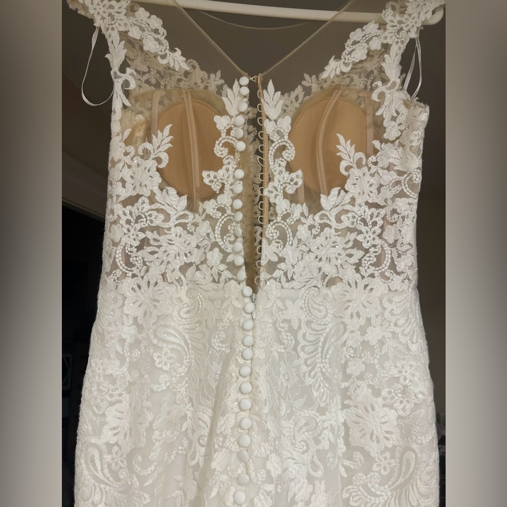 Pronovias Elegant Lace Wedding Dress in White - Picture 7 of 7